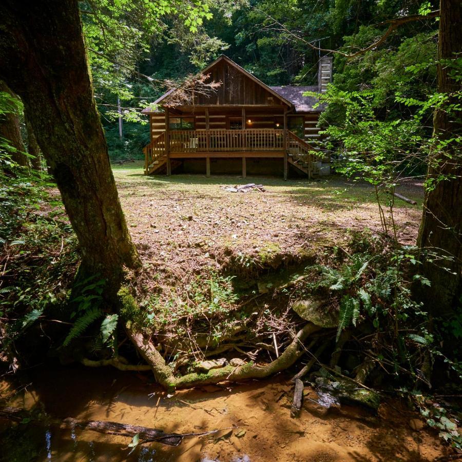 A Cabin In The Woods Pigeon Forge Exteriör bild