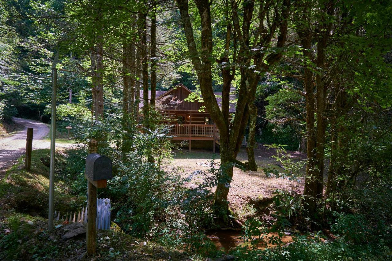 A Cabin In The Woods Pigeon Forge Exteriör bild