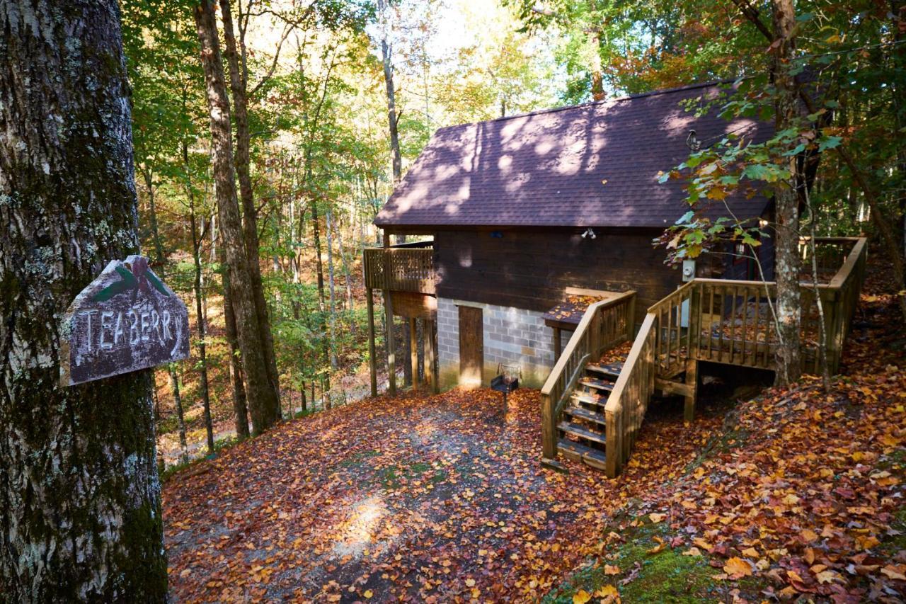A Cabin In The Woods Pigeon Forge Exteriör bild